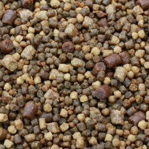 pellet