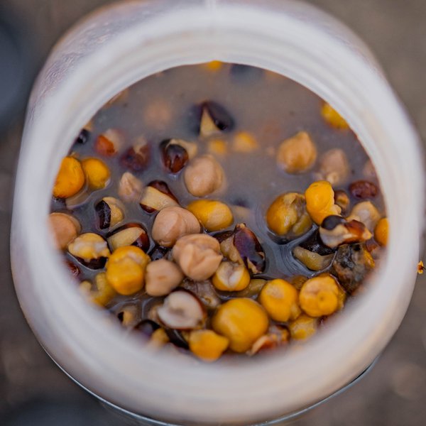 NASH Large Seed Mix 500ml - Imagen 3