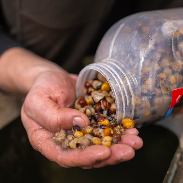 NASH Large Seed Mix 500ml - Imagen 2