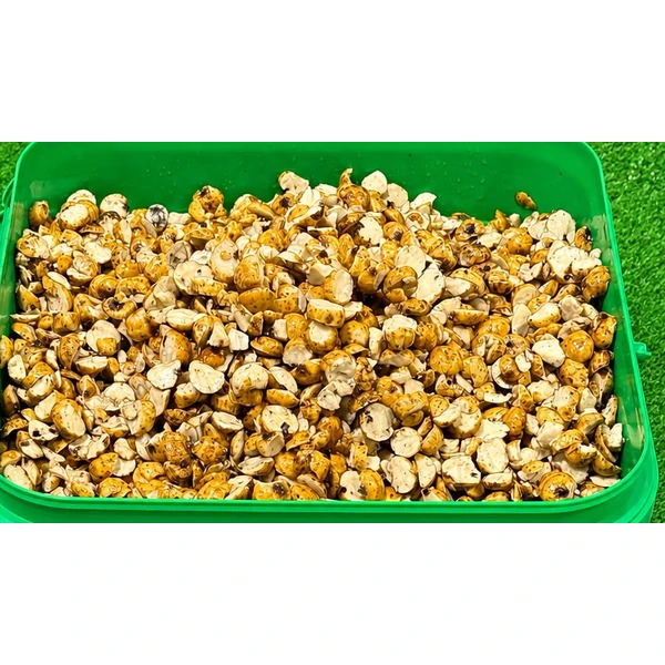 QUALITY SEEDS Cubo Chufa Laminada 5kg
